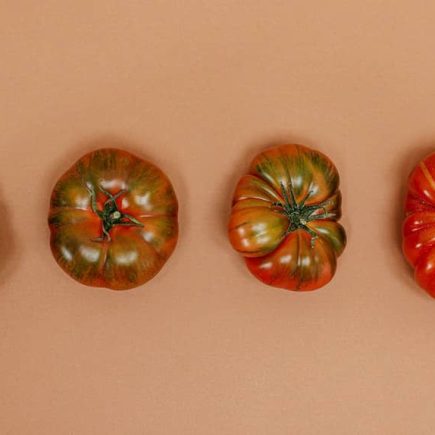 comment mettre en place la methode pomodoro a la maison