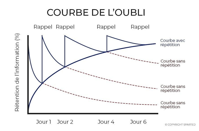 creer des flashcards et les utiliser pour reviser permet de defier la courbe de l’oubli